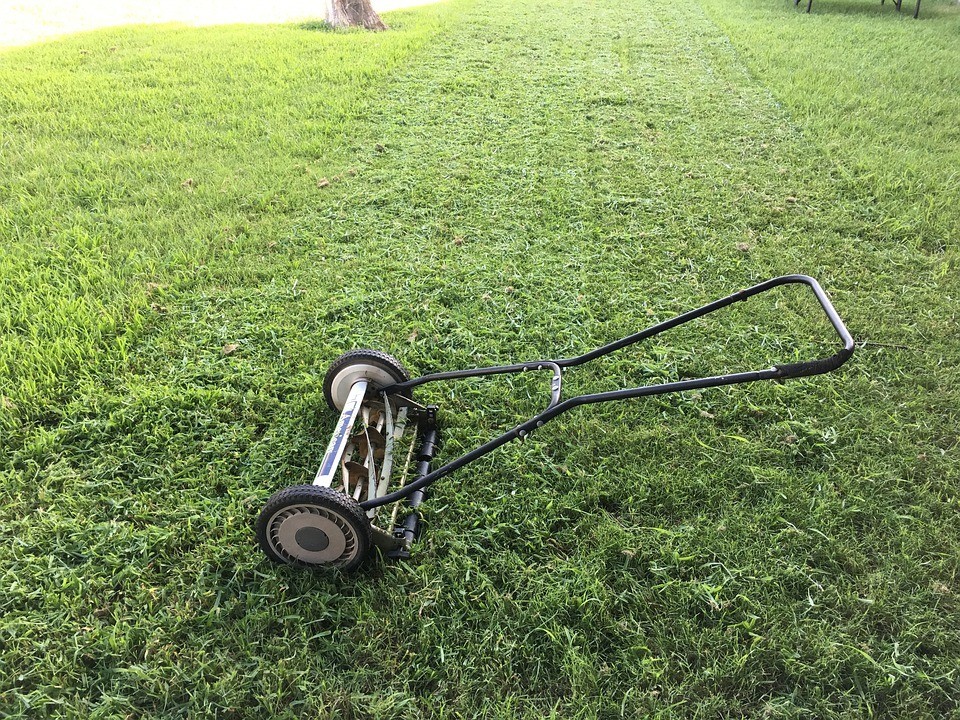 lawn 1812944 960 720