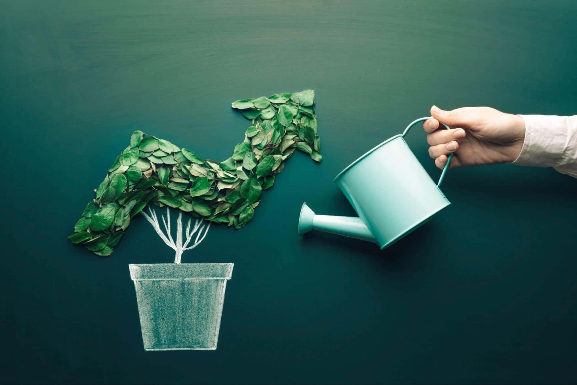 How to make your business a climate champion 2