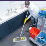 Specialized Cleaning services in Westminster