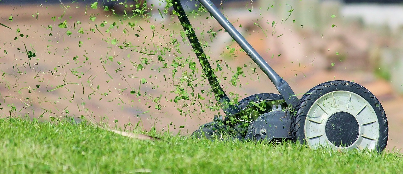 lawn mower 938555 1280