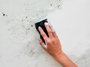 Mould cleaning for vinyl plank flooring 